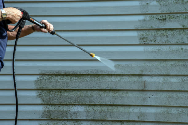 Reliable Park Ridge, IL Pressure Washing Services Solutions