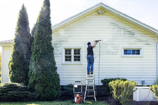Best Sidewalk and Walkway Pressure Cleaning in Park Ridge, IL
